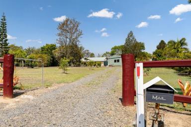 House For Sale - QLD - Redridge - 4660 - PEACEFUL LIFESTYLE PROPERTY UPDATED FAMILY HOME + ORCHARD, DAM & LIVEABLE SHED!  (Image 2)