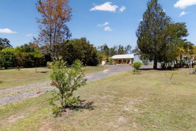House For Sale - QLD - Redridge - 4660 - PEACEFUL LIFESTYLE PROPERTY UPDATED FAMILY HOME + ORCHARD, DAM & LIVEABLE SHED!  (Image 2)