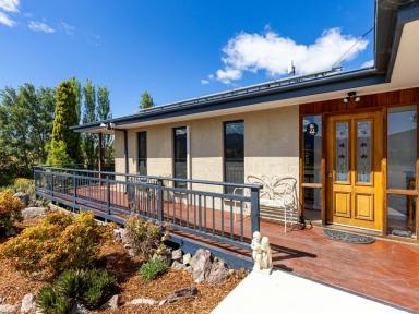 House For Sale - NSW - Bemboka - 2550 - LARGE FAMILY HOME WITH STUNNING VIEWS  (Image 2)