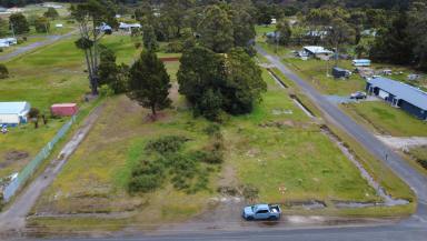 Residential Block For Sale - TAS - Zeehan - 7469 - Grow Roots in Tasmania’s Untamed Beauty!  (Image 2)