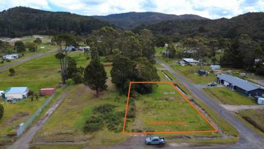 Residential Block For Sale - TAS - Zeehan - 7469 - Grow Roots in Tasmania’s Untamed Beauty!  (Image 2)