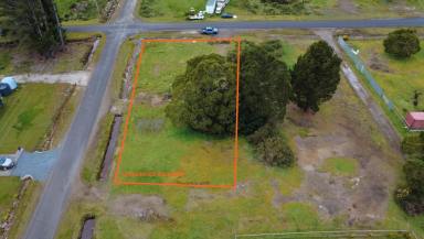 Residential Block For Sale - TAS - Zeehan - 7469 - Grow Roots in Tasmania’s Untamed Beauty!  (Image 2)