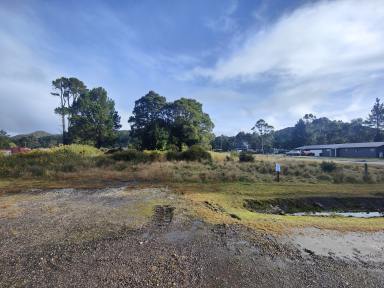 Residential Block For Sale - TAS - Zeehan - 7469 - Grow Roots in Tasmania’s Untamed Beauty!  (Image 2)