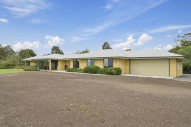 Other (Residential) For Sale - VIC - Camperdown - 3260 - Spacious Retreat with Spectacular Views  (Image 2)