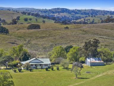 Livestock For Sale - NSW - Bevendale - 2581 - 971 ACRES, 3 BR, 11 TITLES, FOR SALE BY AUCTION,  NOW ON: 16/12/25 -11:30 am.  (Image 2)