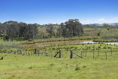 Livestock For Sale - NSW - Bevendale - 2581 - 971 ACRES, 3 BR, 11 TITLES, FOR SALE BY AUCTION,  NOW ON: 16/12/25 -11:30 am.  (Image 2)
