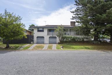 House For Sale - NSW - Grafton - 2460 - Grand Family Home with Self-Contained Granny Flat — Steps from Grafton Base Hospital  (Image 2)