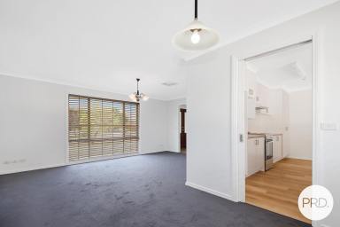 House For Lease - NSW - Lavington - 2641 - 4 BEDROOM HOME WITH HUGE SHED!  (Image 2)