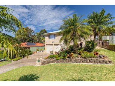 House For Sale - NSW - Forster - 2428 - Spacious Family Living Offering Space, Style & Superior Functionality  (Image 2)