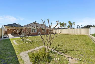 House For Sale - WA - Ridgewood - 6030 - Backyard Bliss!  (Image 2)