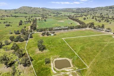 Lifestyle For Sale - VIC - Euroa - 3666 - "Valley View" - Lifestyle Acreage in the Balmattum Foothills Just Minutes From Euroa  (Image 2)