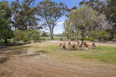 Lifestyle Auction - VIC - Euroa - 3666 - "Valley Views" - Lifestyle Acreage in the Balmattum Foothills Just Minutes From Euroa  (Image 2)