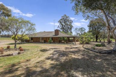 Lifestyle Auction - VIC - Euroa - 3666 - "Valley Views" - Lifestyle Acreage in the Balmattum Foothills Just Minutes From Euroa  (Image 2)