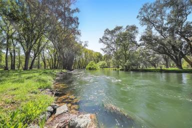 Lifestyle For Sale - NSW - Tumut - 2720 - Tumut River Frontage!  (Image 2)