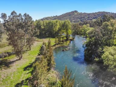 Lifestyle For Sale - NSW - Tumut - 2720 - Tumut River Frontage!  (Image 2)