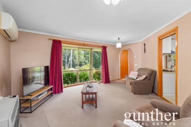 House For Sale - VIC - Healesville - 3777 - Immaculate Home on Quiet Street  (Image 2)