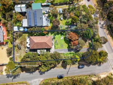 House For Sale - TAS - Coningham - 7054 - Coastal Charm and Peaceful Surrounds in Beautiful Coningham  (Image 2)