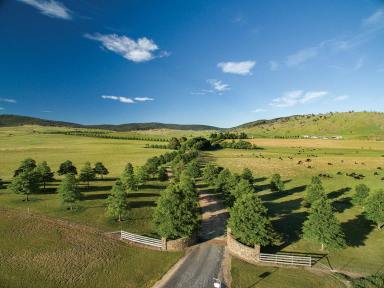 Livestock For Sale - VIC - Omeo - 3898 - A PREMIUM BEEF BREEDING & BACKGROUNDING PROPERTY WITH LONG TERM LEASE  (Image 2)