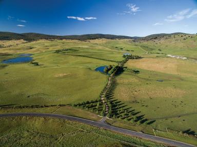 Livestock For Sale - VIC - Omeo - 3898 - A PREMIUM BEEF BREEDING & BACKGROUNDING PROPERTY WITH LONG TERM LEASE  (Image 2)