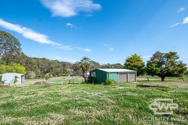 Residential Block For Sale - NSW - Glen Innes - 2370 - Generous Vacant Land with Excellent Shedding — Ready for Your Next Chapter  (Image 2)