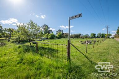 Residential Block For Sale - NSW - Glencoe - 2365 - Build Your Dream Home on a Spacious 1925 m² Block in Peaceful Glencoe  (Image 2)