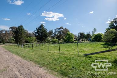 Residential Block For Sale - NSW - Glencoe - 2365 - Build Your Dream Home on a Spacious 1925 m² Block in Peaceful Glencoe  (Image 2)