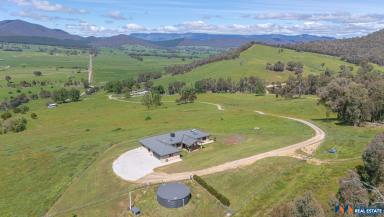 Other (Rural) For Sale - VIC - Rosewhite - 3737 - Quality Lifestyle Property with Income Potential -.  (Image 2)