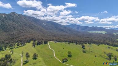 Other (Rural) For Sale - VIC - Rosewhite - 3737 - Quality Lifestyle Property with Income Potential -.  (Image 2)