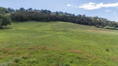 Lifestyle For Sale - VIC - Myrtleford - 3737 - 20 Acres (Approx.) - Premium Lifestyle Land in the Heart of Buffalo Creek Valley  (Image 2)