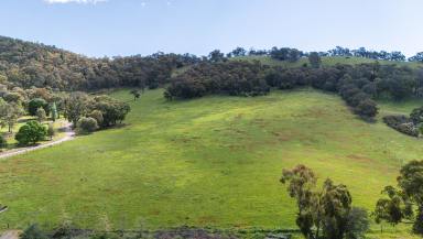 Lifestyle For Sale - VIC - Myrtleford - 3737 - 20 Acres (Approx.) - Premium Lifestyle Land in the Heart of Buffalo Creek Valley  (Image 2)