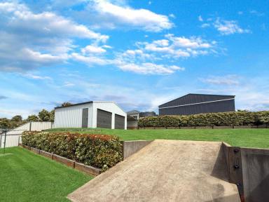 House For Sale - NSW - Young - 2594 - Renovated Family Perfection – Space, Style & Shedding Galore  (Image 2)