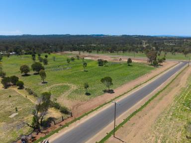 Residential Block For Sale - QLD - Nanango - 4615 - YOUR CHANCE TO EMBRACE PEACEFUL ACREAGE LIFESTYLE  (Image 2)