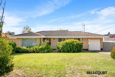 House For Sale - WA - Balcatta - 6021 - POTENTIAL PLUS!  (Image 2)