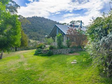 Acreage/Semi-rural For Sale - NSW - Wyndham - 2550 - WHISPERING CREEK - WHERE NATURE AND CRAFTSMANSHIP UNITE  (Image 2)