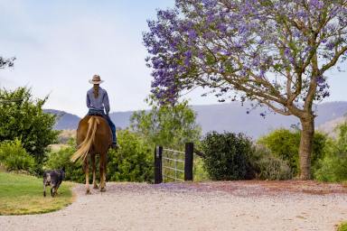 Lifestyle For Sale - QLD - Rockmount - 4344 - Lifestyle. Livestock. Location.  (Image 2)