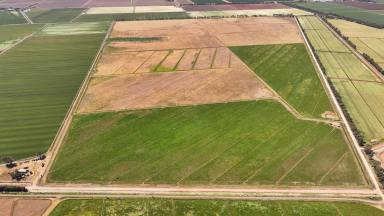 Cropping For Sale - NSW - Warrawidgee - 2680 - CHITTICK ROAD HOLDINGS - OFFERED AS A WHOLE OR SEPARATELY  (Image 2)