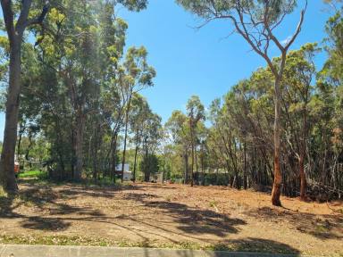 Residential Block For Sale - QLD - Macleay Island - 4184 - Large Elevated 736m2 Cleared Block - Ready to Build with Coastal Breezes & Potential Water Views  (Image 2)