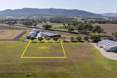 Residential Block For Sale - NSW - Mudgee - 2850 - YOUR GATEWAY TO AVIATON AND COMMERCIAL SUCCESS  (Image 2)