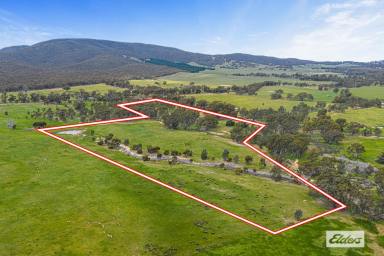 Other (Rural) For Sale - VIC - Landsborough - 3384 - Picturesque Pyrenees Hobby Block - 34 Acres  (Image 2)