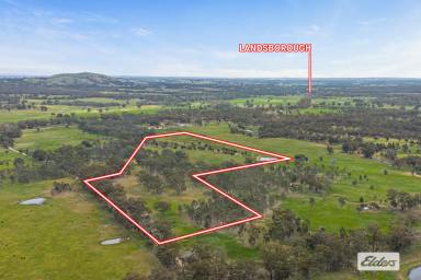 Other (Rural) For Sale - VIC - Landsborough - 3384 - Picturesque Pyrenees Hobby Block - 34 Acres  (Image 2)