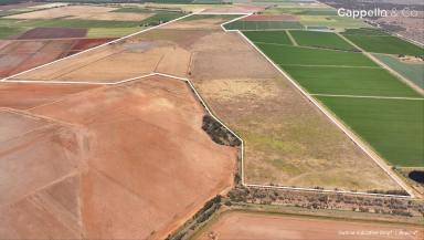 Cropping For Sale - NSW - Warrawidgee - 2680 - CHITTICK ROAD HOLDINGS - OFFERED AS A WHOLE OR SEPARATELY  (Image 2)