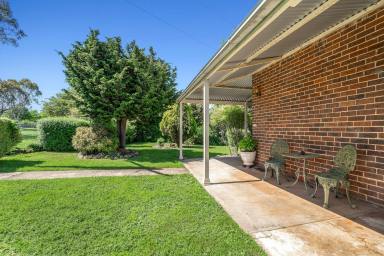 Other (Rural) Auction - NSW - Crookwell - 2583 - "Norfolk Rise, Crookwell"  (Image 2)