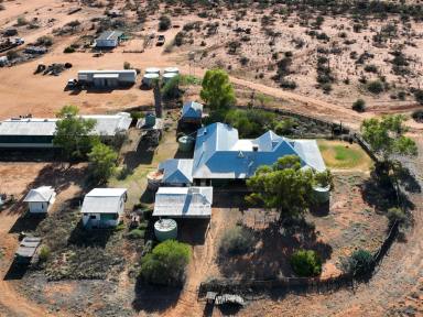 Other (Rural) For Sale - WA - Yalgoo - 6635 - Meka Station, Yalgoo  (Image 2)