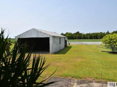 House For Sale - QLD - Goondi Hill - 4860 - Big Block, Big Home, Big Future – The Ultimate Family Package in Goondi Hill!  (Image 2)