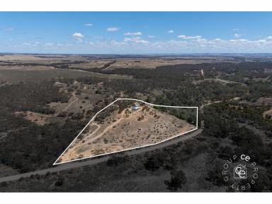 Acreage/Semi-rural For Sale - SA - Black Hill - 5353 - A Quiet Lifestyle Awaits  (Image 2)