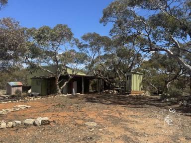 Acreage/Semi-rural For Sale - SA - Black Hill - 5353 - A Quiet Lifestyle Awaits  (Image 2)