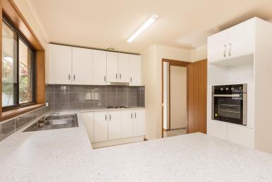 House Sold - VIC - Mildura - 3500 - Spacious Family Home - Great Investment!  (Image 2)