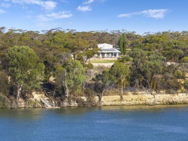 House For Sale - SA - Morgan - 5320 - "SUMMER HOUSE" 8 Acre River Estate.  (Image 2)