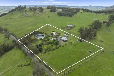 House For Sale - VIC - Strathbogie - 3666 - "Braebank" - A Truly Complete Lifestyle Opportunity  (Image 2)