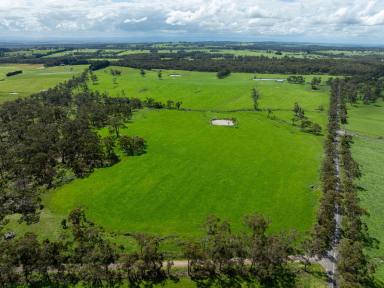 Livestock For Sale - VIC - Loch - 3945 - DORIAN - Prime West Gippsland Grazing Opportunity  (Image 2)